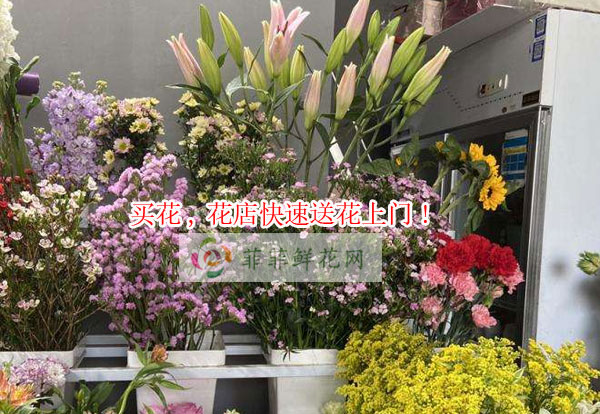 百色德保县买花,百色德保县花店快速送花上门!